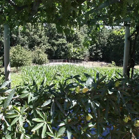 Agriturismo Miele *
